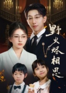 野火烬相思第56集