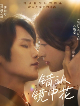 错认镜中花第01集