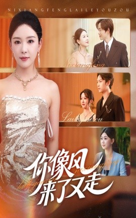 你像风来了又走第01集