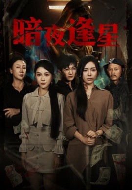 暗夜逢星第47集