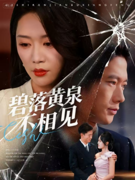 碧落黄泉不相见第66集