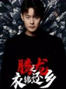 腾龙之衣锦还乡第02集