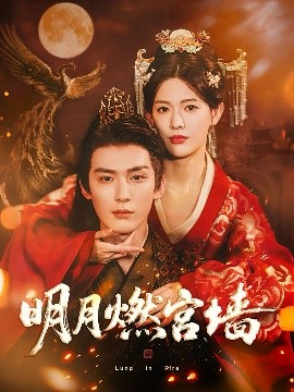 明月燃宫墙第55集