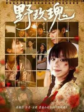 野玫瑰第01集