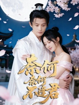 奈何奈何不逢君第09集