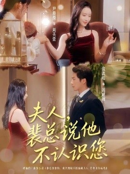 夫人裴总说他不认识您第01集