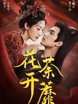 花开荼蘼第85集