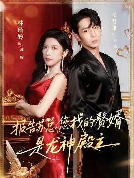 报告苏总，您找的赞婿是龙神殿主第39集