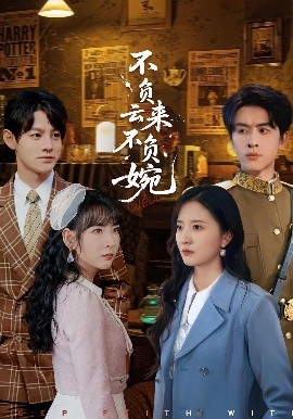 不负云来不负婉第20集