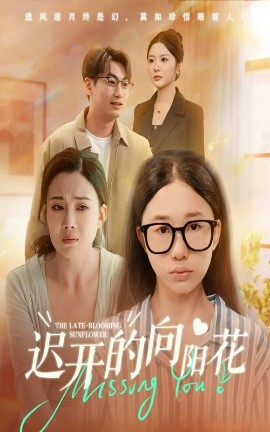 迟开的向阳花第01集