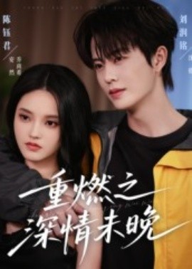 重燃之深情未晚第10集