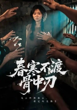 春寒不渡骨中刃第27集