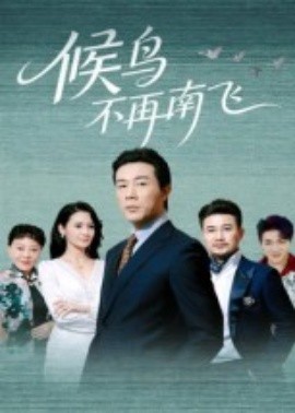 候鸟不再南飞第01集