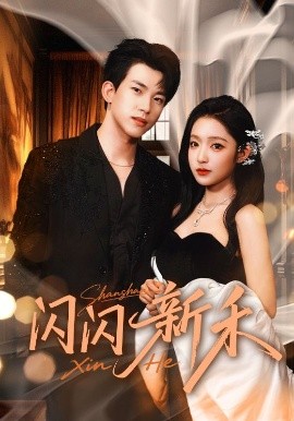 闪闪新禾第63集