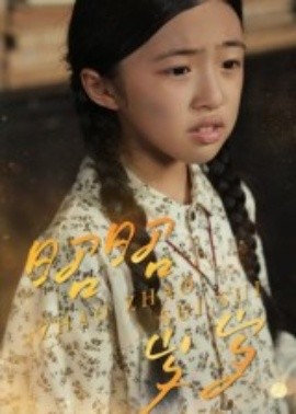 昭昭岁岁第05集