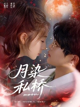 月染私桥第28集