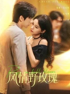 风情野玫瑰 揉碎玫瑰第14集