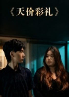 天价彩礼第15集