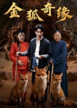 金狐奇缘第22集