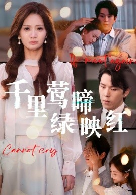 千里莺啼绿映红第31集