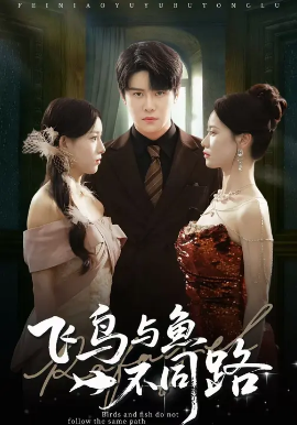 飞鸟与鱼不同路第02集