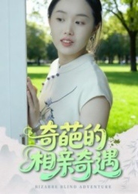 奇葩的相亲奇遇第08集