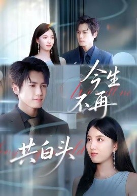 今生不再共白头第47集