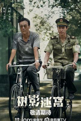 树影迷宫第13集