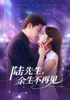 陆先生，余生不再见第01集