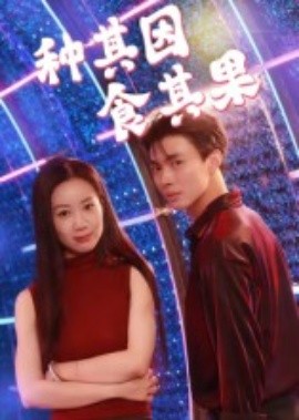 种其因，食其果第19集