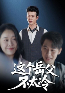 这个岳父不太冷第14集