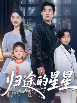 归途的星星第46集
