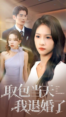 取包当天我退婚了第21集