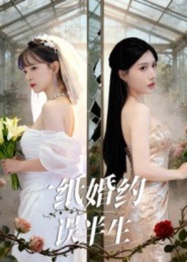 一纸婚约误半生第04集