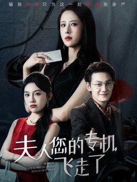 夫人您的专机飞走了第12集