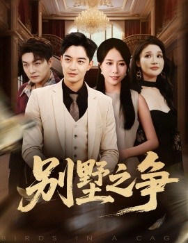 别墅之争第03集