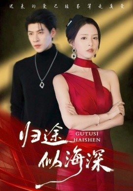 归途似海深第40集