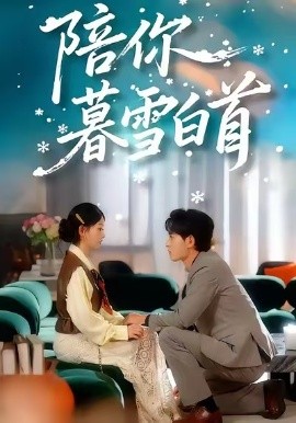陪你暮雪白首第01集