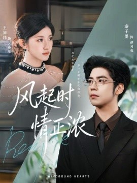 风起时情正浓第47集