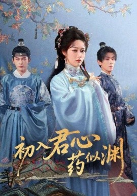 初入君心药似渊第12集