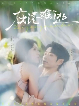 在港难逃第73集