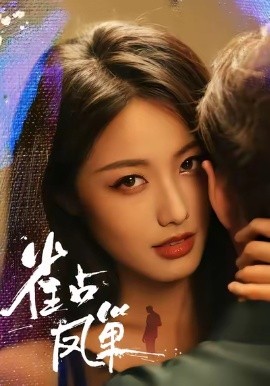 雀占凤巢第44集