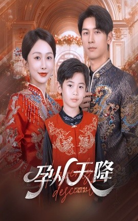 孕从天降第30集