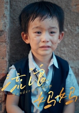 流浪妈妈第30集(大结局)