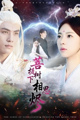 菩提树下相思烬第13集