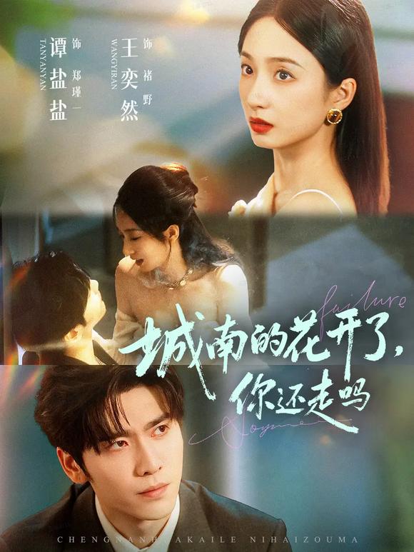 城南的花开了，你还走吗第17集