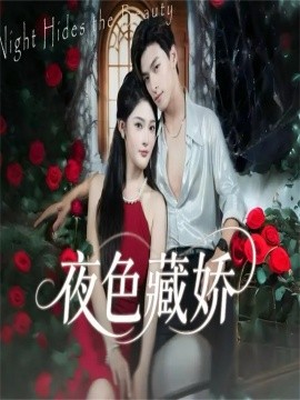 夜色藏娇第19集