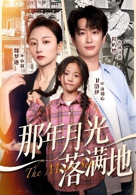 那年月光落满地第38集