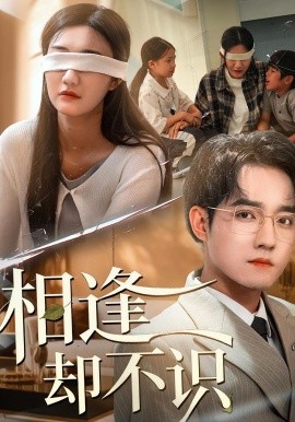 相逢却不识第51集