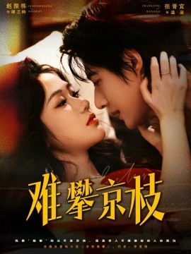 难攀京枝第22集